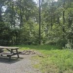 Rothrock State Forest Campsite #4