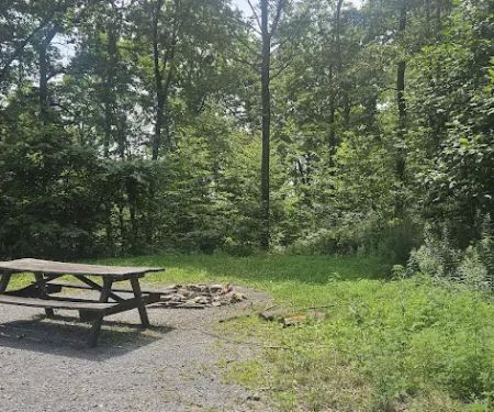 Rothrock State Forest Campsite #4