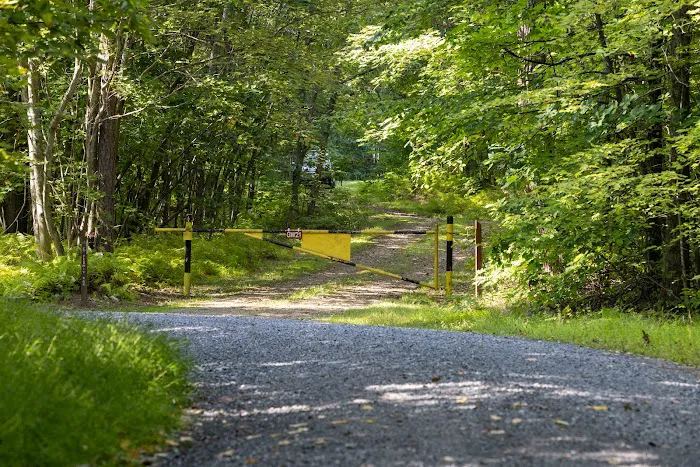 Rothrock State Forest Campsite #6 Picture 4