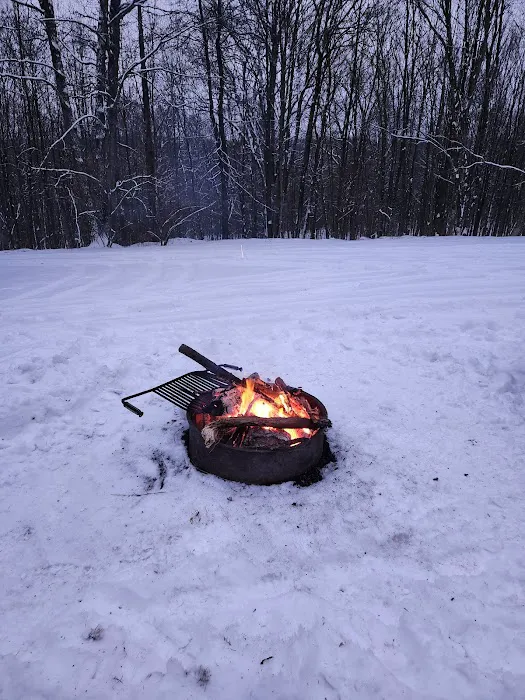 Rothrock State Forest Campsite #6 Picture 2