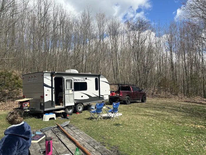 Rothrock State Forest Campsite #6 Picture 1