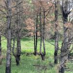 State Game Lands 321