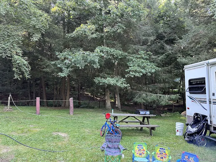 The Big Elk Lick Campground Picture 5