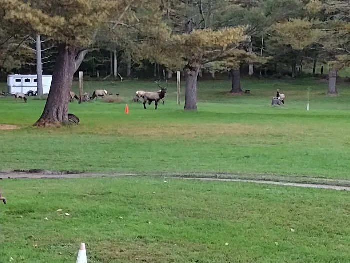 The Big Elk Lick Campground Picture 2