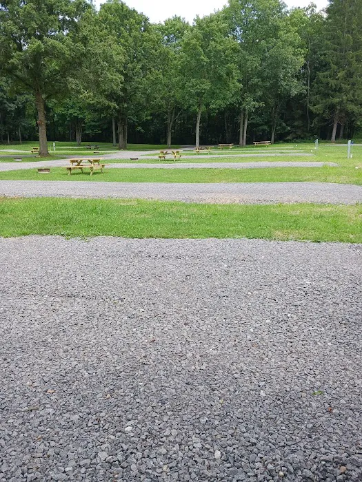 Quiet Acres Camping Picture 4