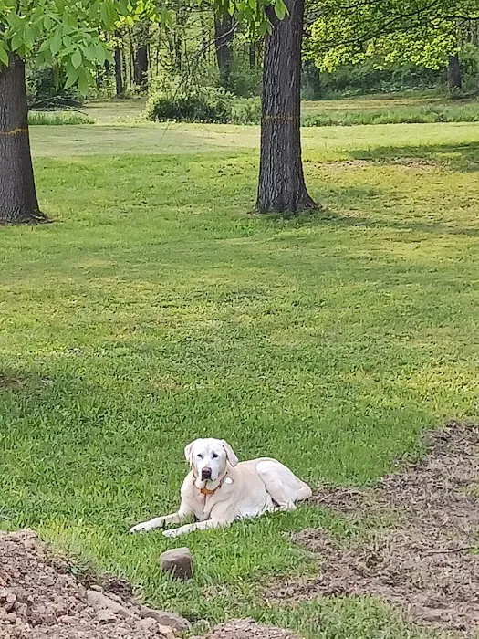 Quiet Acres Camping Picture 1