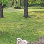 Quiet Acres Camping