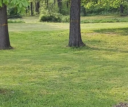 Quiet Acres Camping