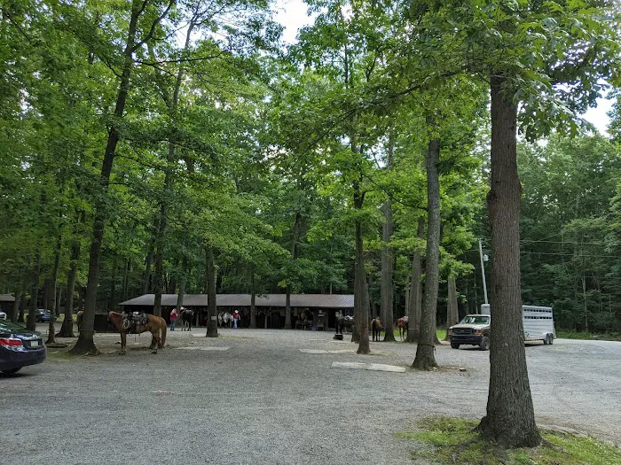 Cook Forest Scenic Trailride, Dude Ranch, and Campground Picture 2