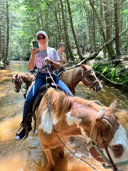 Cook Forest Scenic Trailride, Dude Ranch, and Campground Picture 1