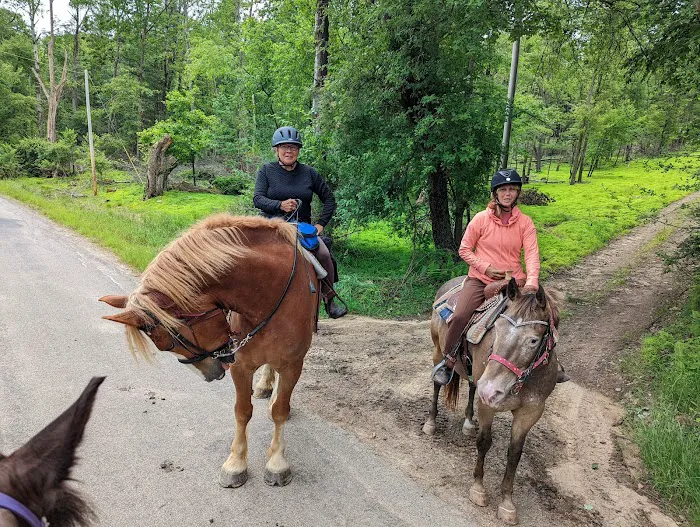 Cook Forest Scenic Trailride, Dude Ranch, and Campground Picture 8