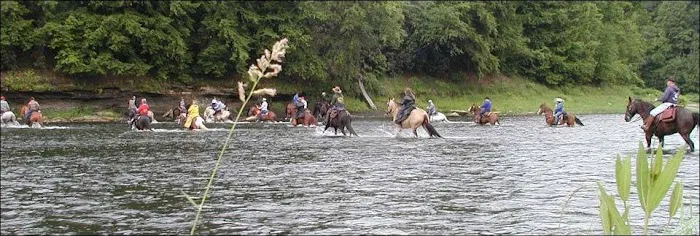 Cook Forest Scenic Trailride, Dude Ranch, and Campground Picture 5