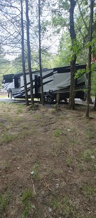 Colors of the Forest RV Resort and Campground Picture 2