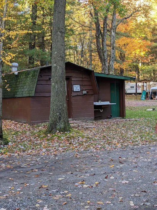 Colors of the Forest RV Resort and Campground Picture 10