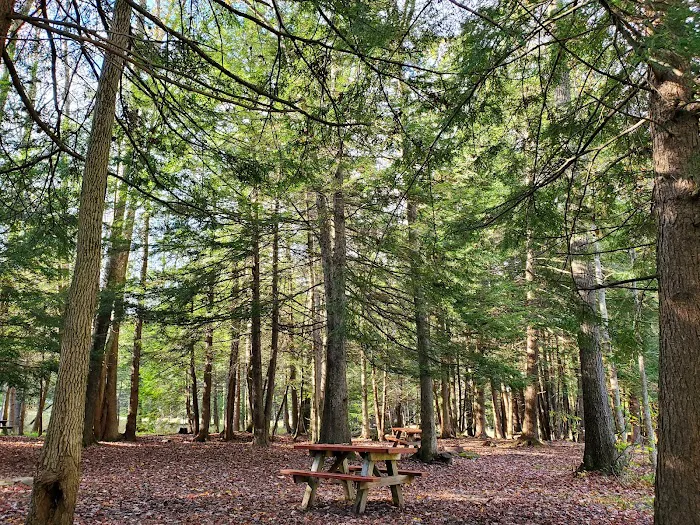 White's Haven Campground Picture 2