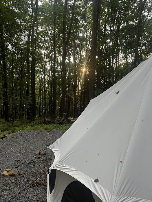 Wild Garden Glamping Picture 1