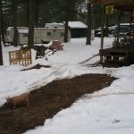 Spirit of the North Campground