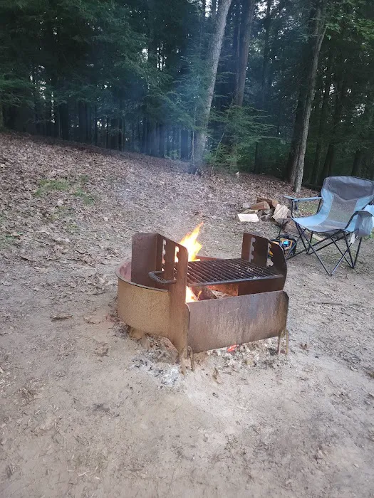 Ridge Campground At Cook Forest Picture 6