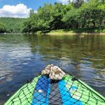 Ridge Campground At Cook Forest