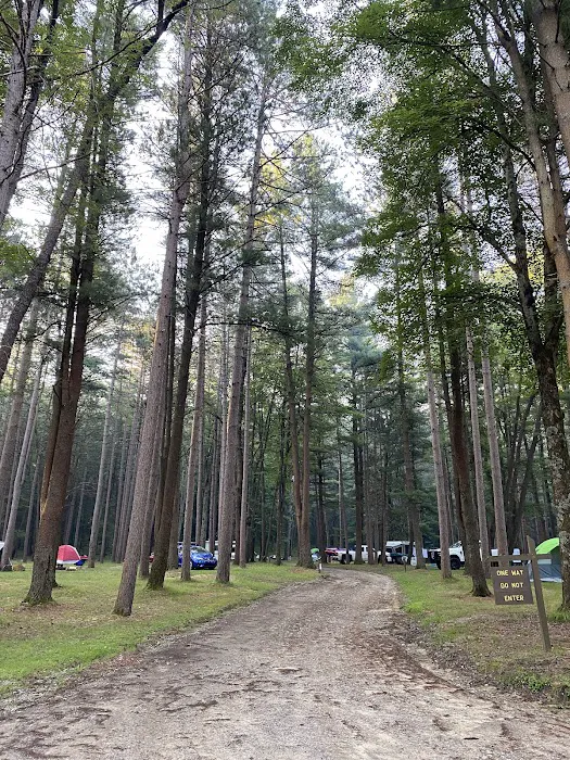 Ridge Campground At Cook Forest Picture 5