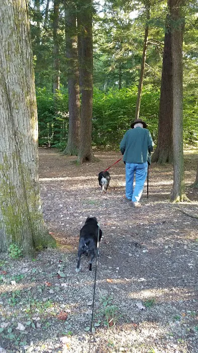 Ridge Campground At Cook Forest Picture 2