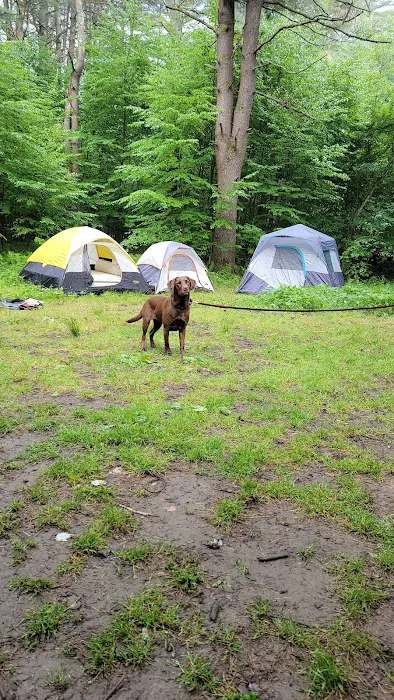Millstone Campground Picture 1