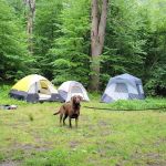 Millstone Campground
