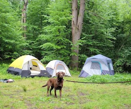Millstone Campground