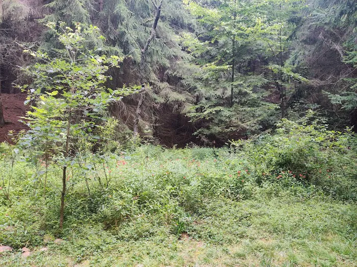 Loleta Recreation Area Picture 9