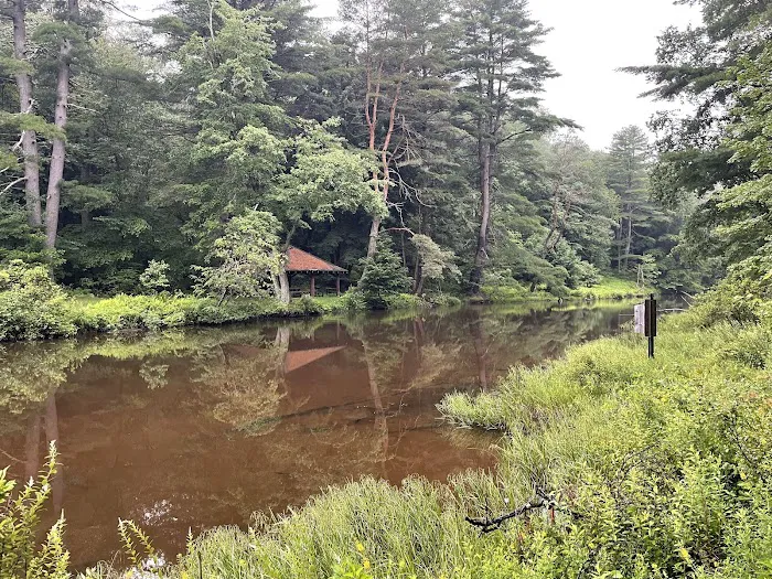 Loleta Recreation Area Picture 3