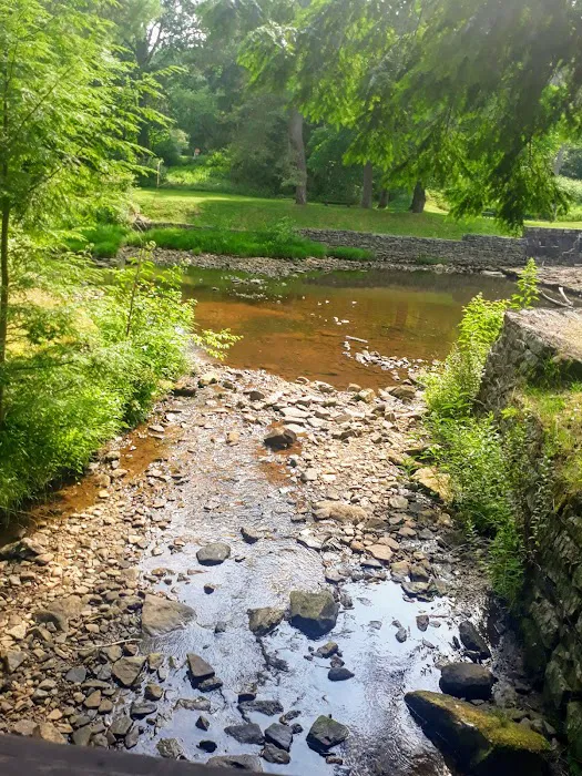 Loleta Recreation Area Picture 5