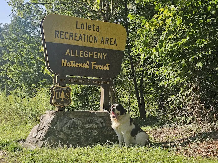 Loleta Recreation Area Picture 7