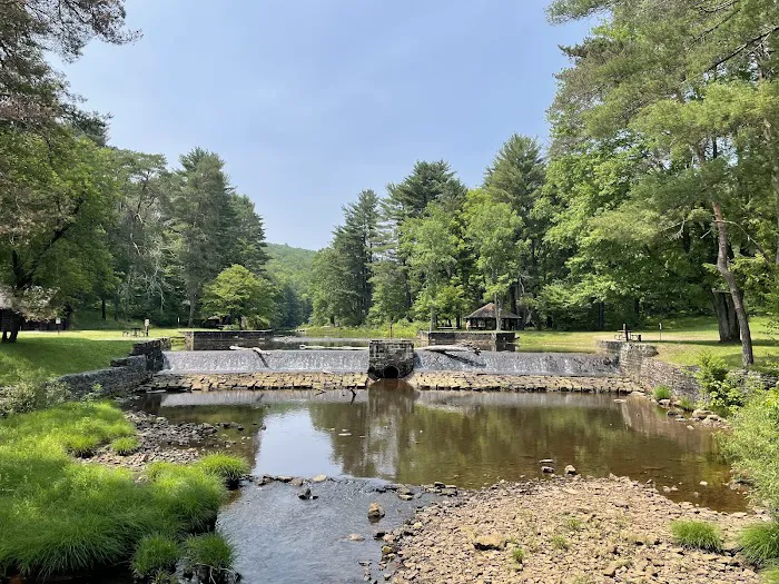 Loleta Recreation Area Picture 10