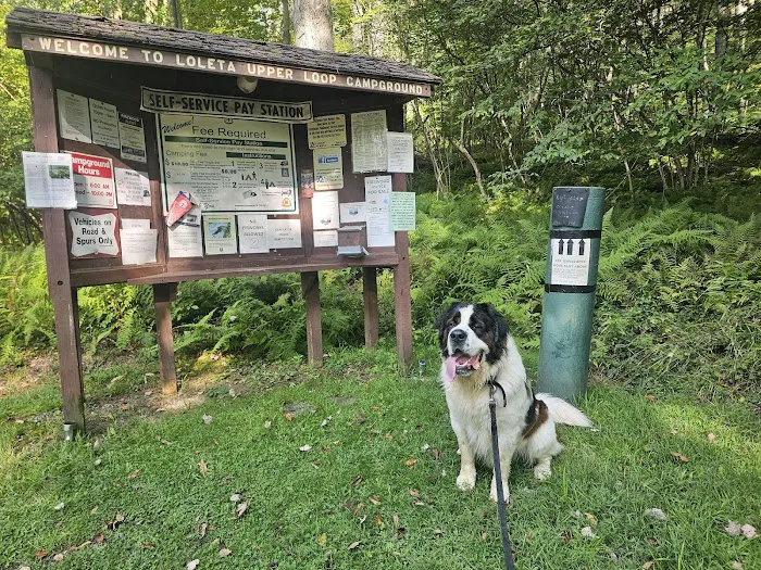 Loleta Recreation Area Picture 6