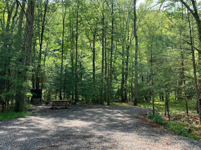 Riverview Campsites Picture 2
