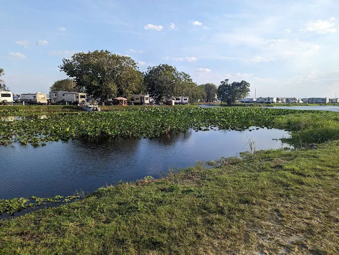 Torry Island Campground Picture 3