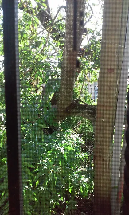 Mid-City Trailer Park Picture 5