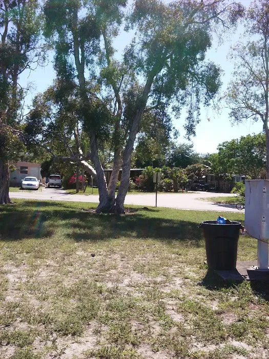 Tavares Cove Picture 7