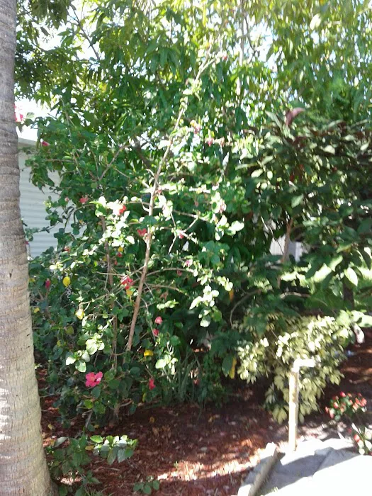 Palm Beach MHP, LLC. Picture 9