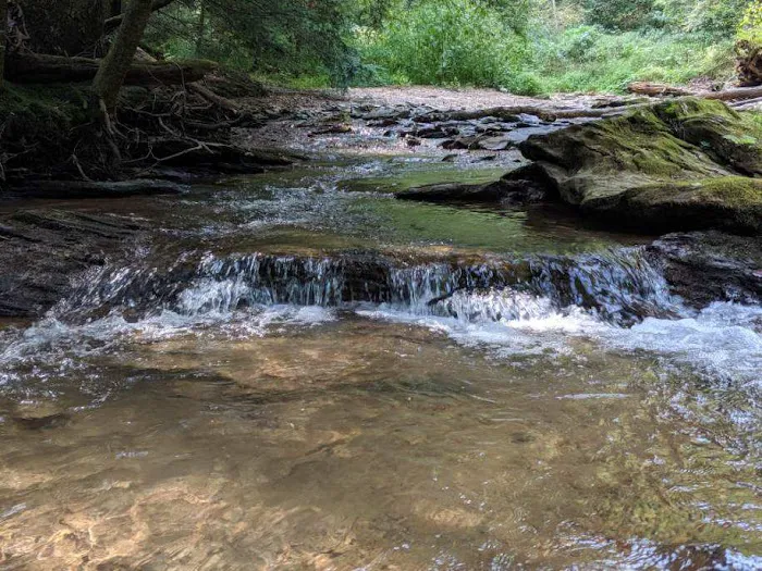 Pequea Creek Campground Picture 6