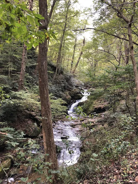 Mill Creek Falls Retreat Center Picture 9
