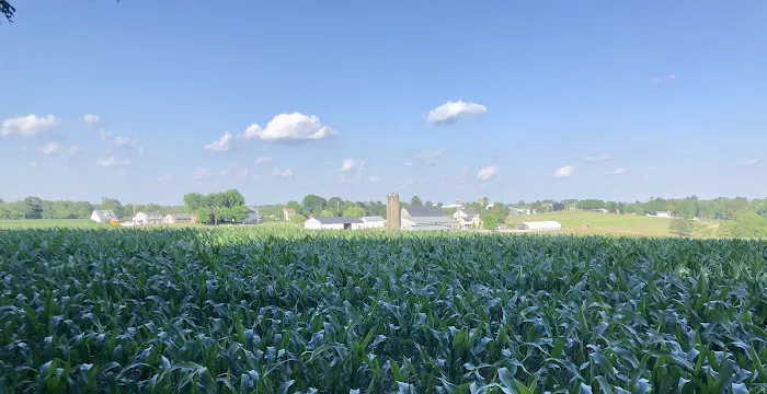 Hobo Hollow Campground Picture 2