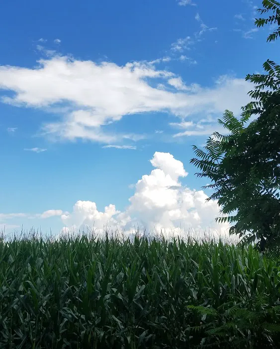 Hobo Hollow Campground Picture 8