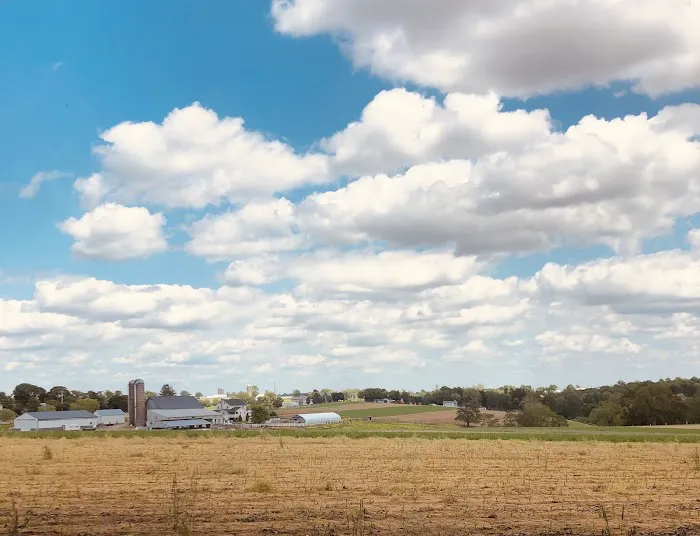 Hobo Hollow Campground Picture 4