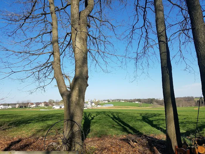 Hobo Hollow Campground Picture 5