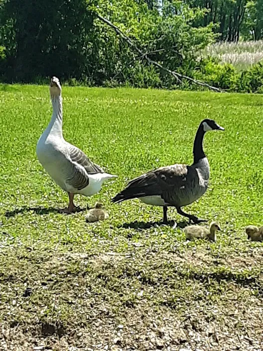 Muddy Run Park Picture 4