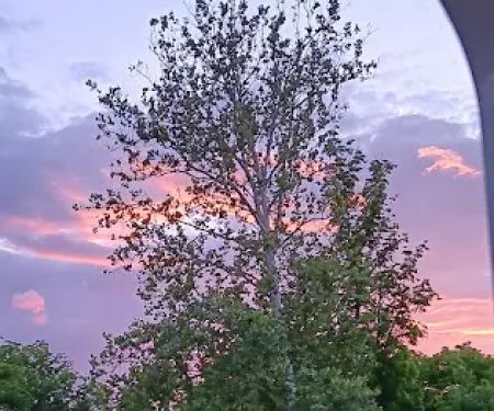 Walmar Manor Campground