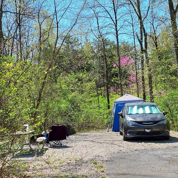 Gifford Pinchot State Park Campground Picture 2