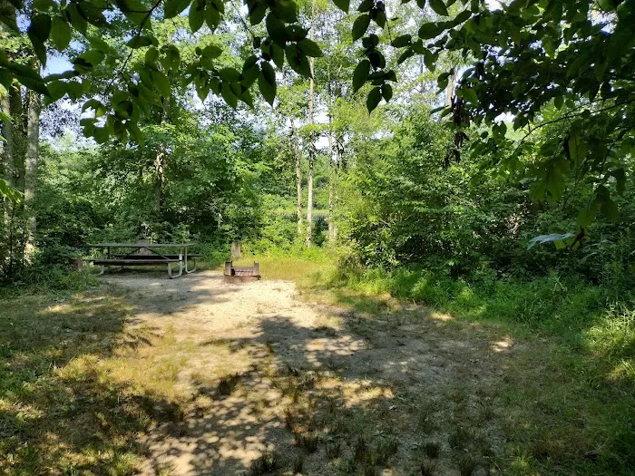 Gifford Pinchot State Park Campground Picture 8