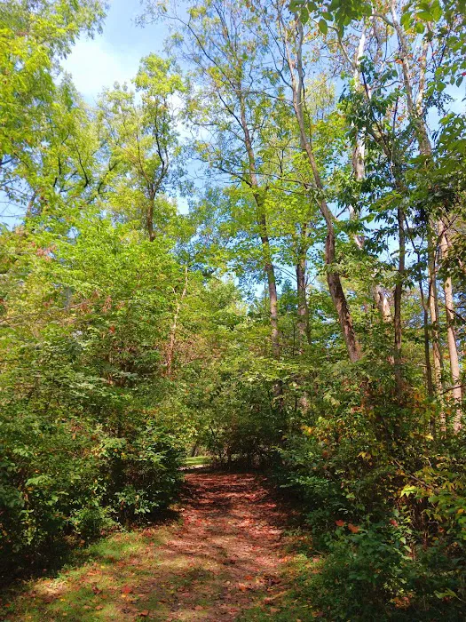 Mill Creek Camping Area Picture 10
